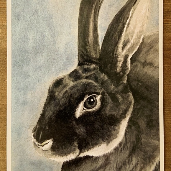 Framed Print Rex Rabbit from Original - Picture 3 of 4